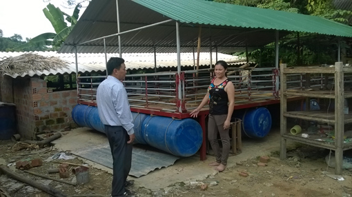 An cư với nhà vượt lũ ảnh 1